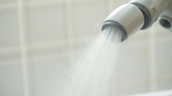 Quelle solution vapeur pour éliminer efficacement les punaises ?